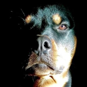 Meet your Posher, Nancie